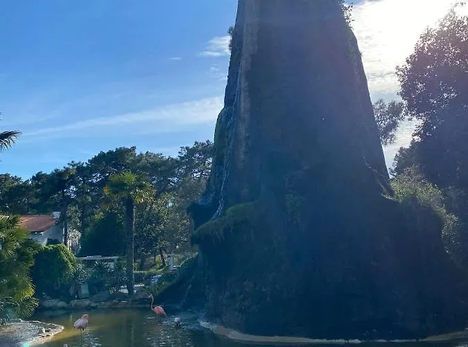 Mobil-home 6-8pers -clim Siblu Les Charmettes *